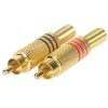 فیش AV پیچی SM-Gold