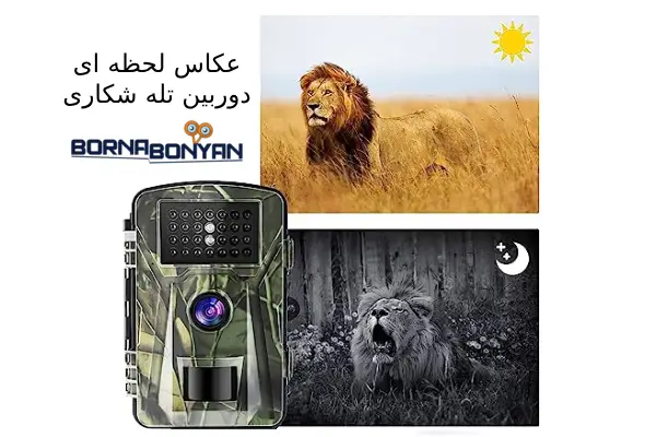 عکاسی دوربین تله ای شکاری 